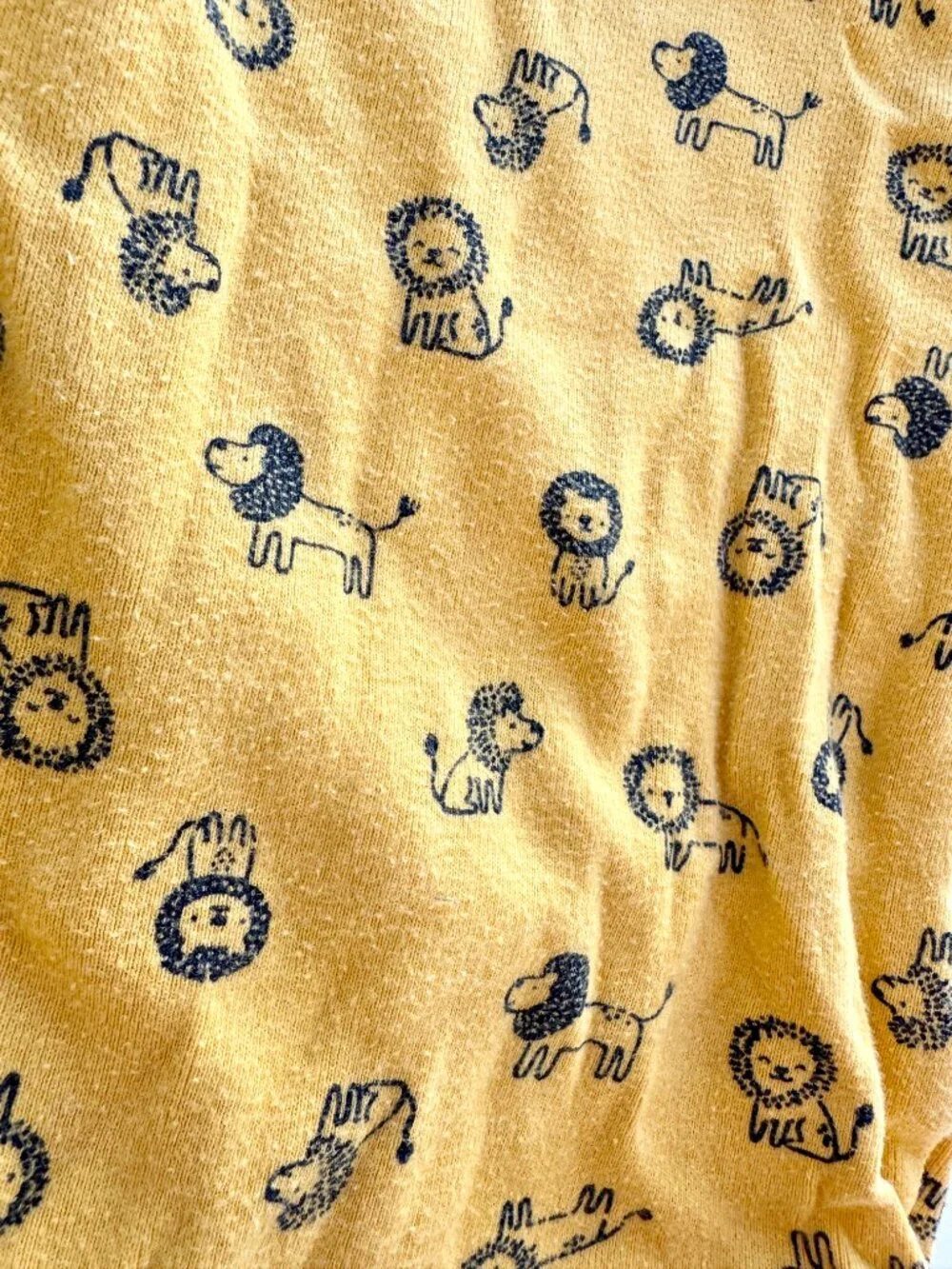 Carters brand carter